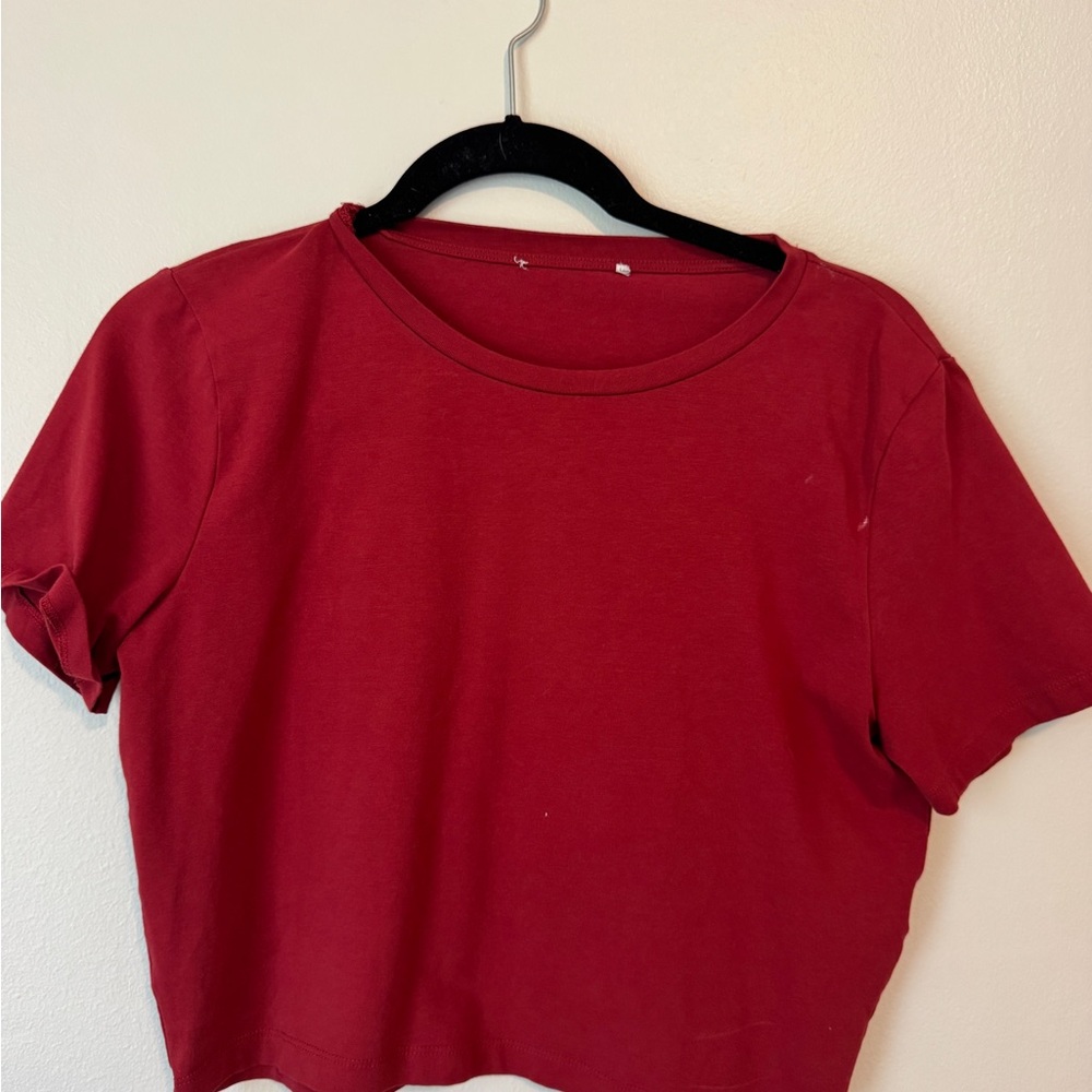 Zara Crop Tee